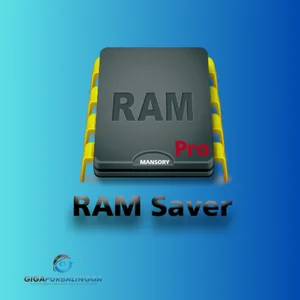 RAM Saver Professional