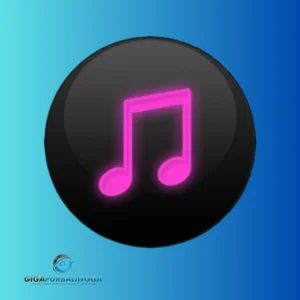 Helium Music Manager Premium