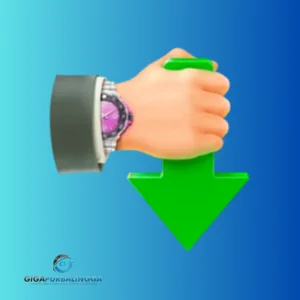 Internet Download Accelerator