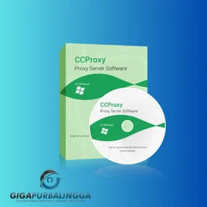 download ccproxy full