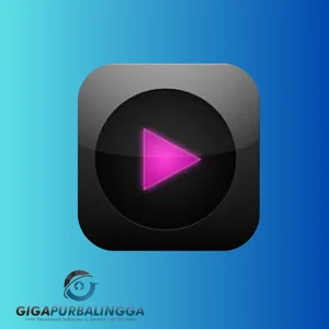 helium music manager premium crack