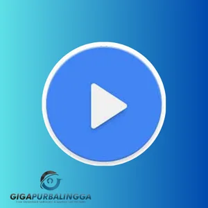 mx player pro apk cracked