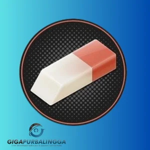 privacy eraser pro crack