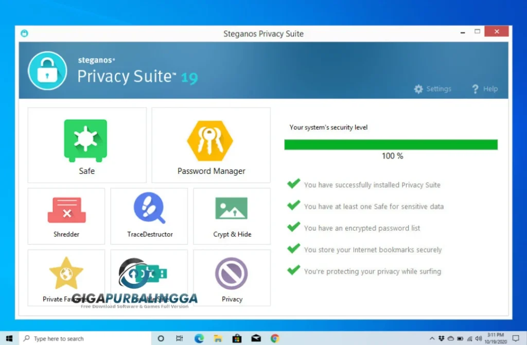 steganos privacy suite 22 crack