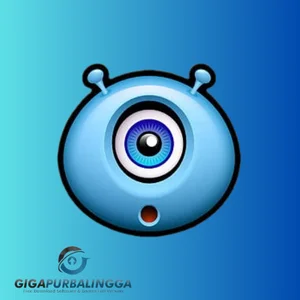 webcammax full crack