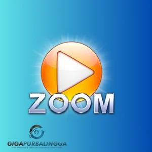 zoom player max download