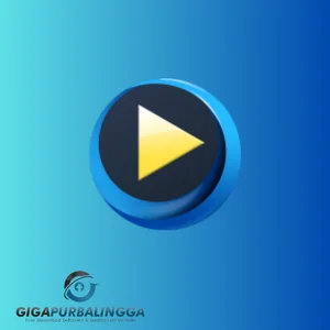 4videosoft blu-ray player kuyhaa