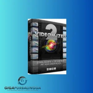 Media Videomizer