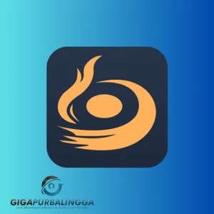 aiseesoft burnova