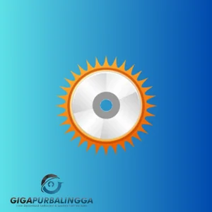 anyburn pro full