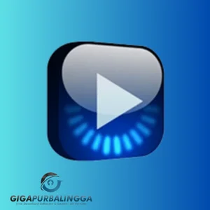 avs media player crack