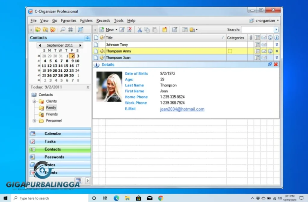 c-organizer professional