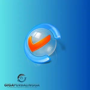 c-organizer professional free download