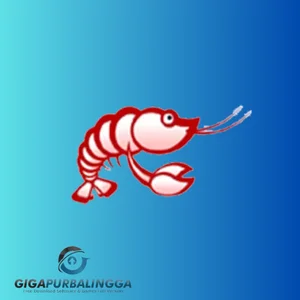 codelobster php edition pro full