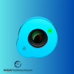 evaer video recorder for skype