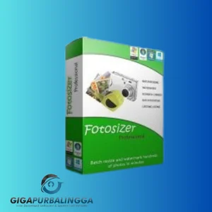 fotosizer professional edition