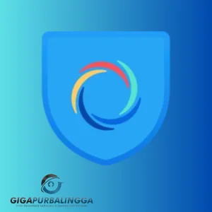 hotspot shield vpn business edition