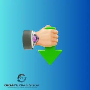 internet download accelerator pro