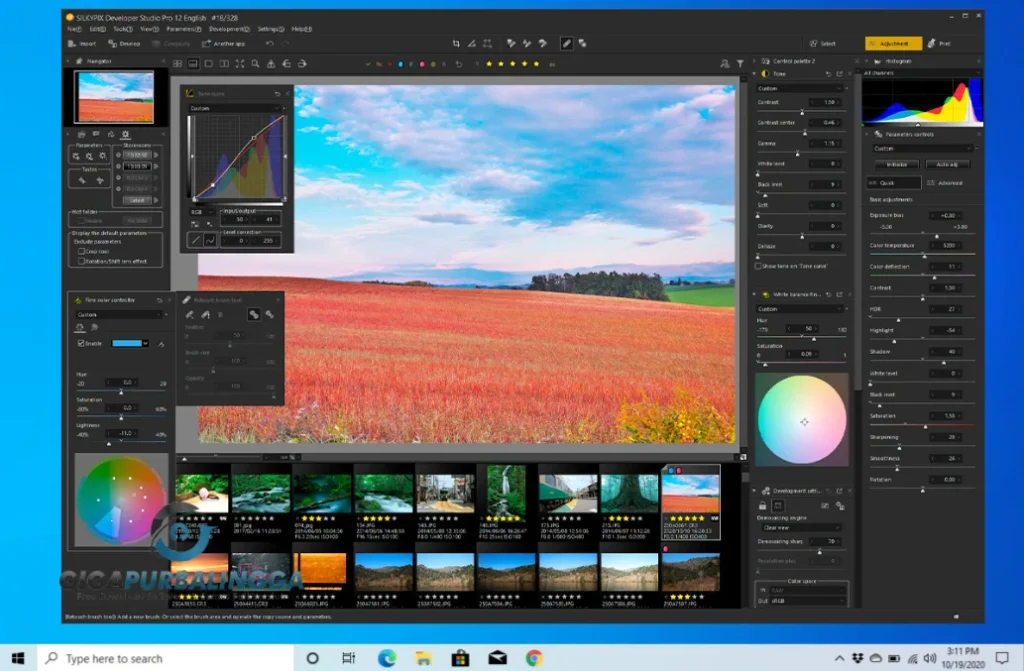 lyric video creator professional