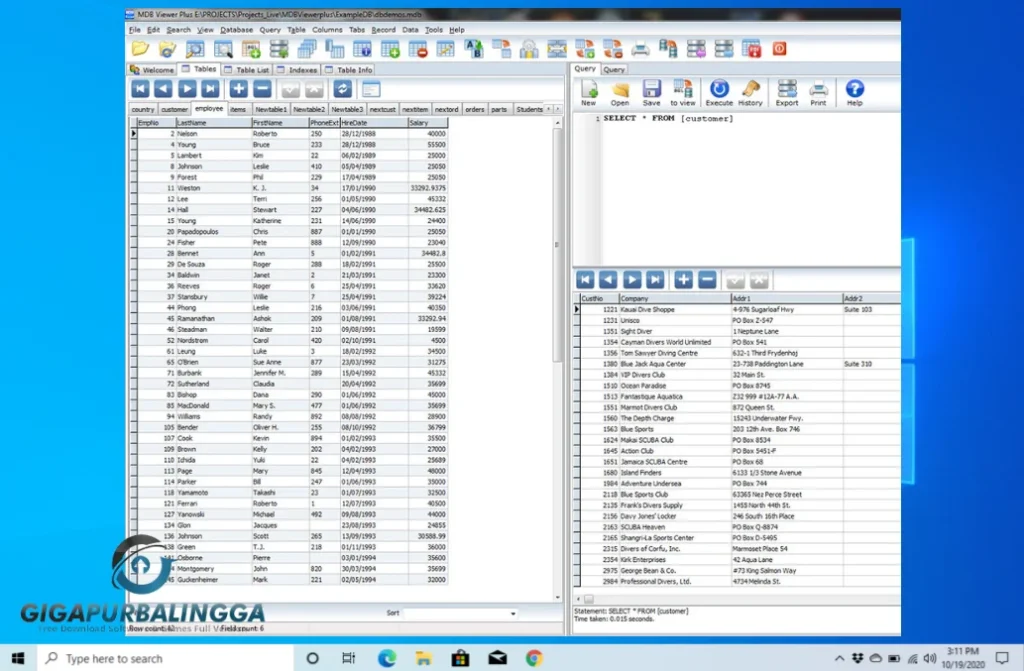 mdb viewer plus free download