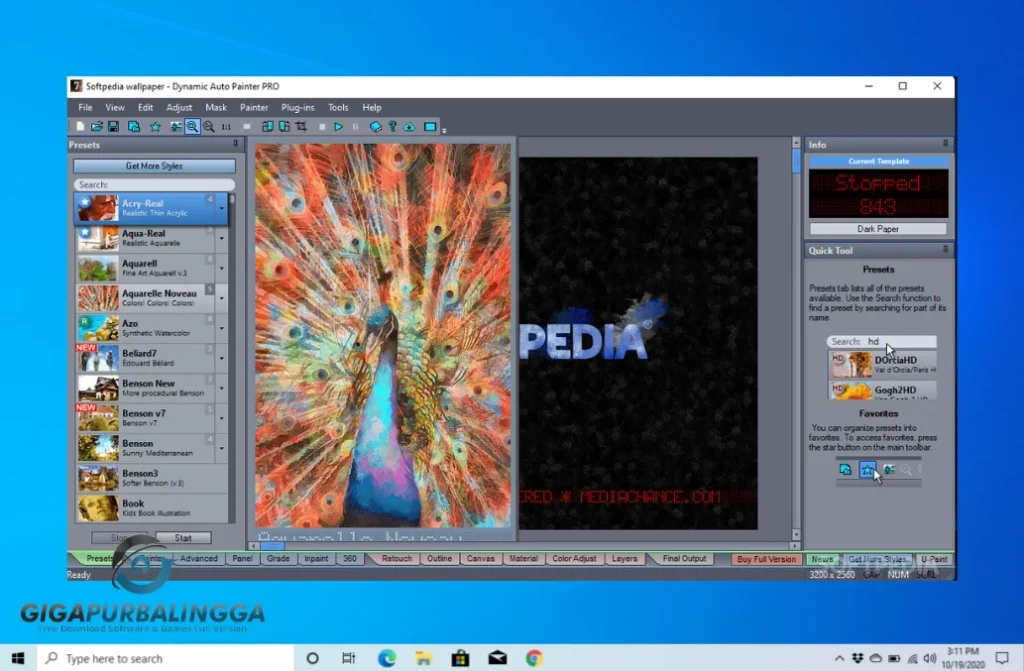 mediachance dynamic auto painter pro