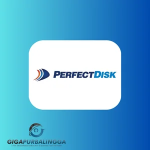 perfectdisk professional business