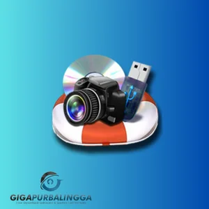photorecovery professional