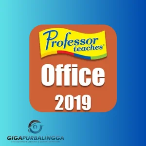professor teaches excel 2021
