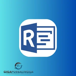 rillsoft project crack