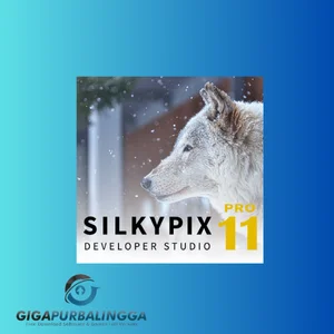 silkypix developer studio pro 11 crack