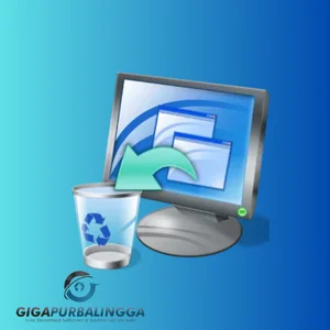 total uninstall professional full