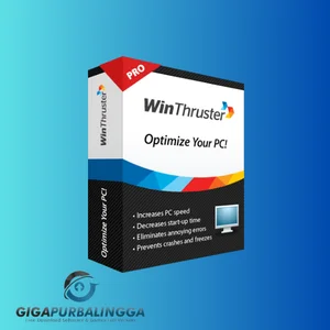 winthruster pro crack