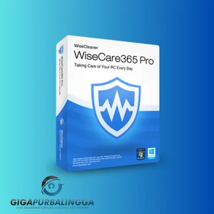 wise care 365 pro full