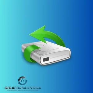 wise data recovery pro free download
