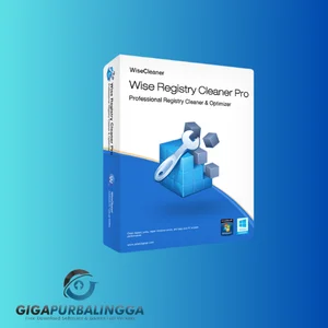 wise registry cleaner pro crack