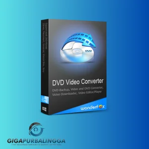 wonderfox dvd video converter free download