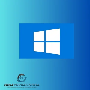 Windows 10 Pro 19H2 Lite Edition
