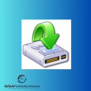 cardrecovery bagas31