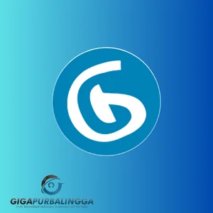 clean space professional