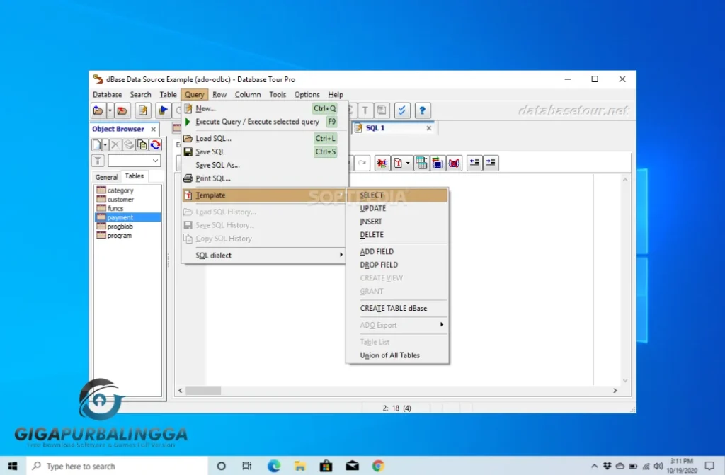 database tour pro full