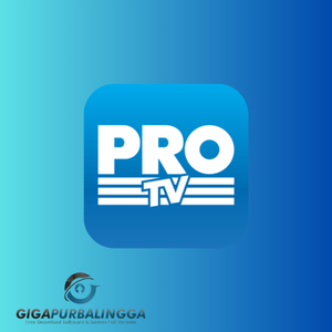 digital tv on pc pro