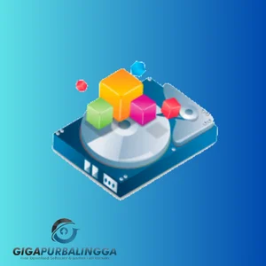 disk sorter