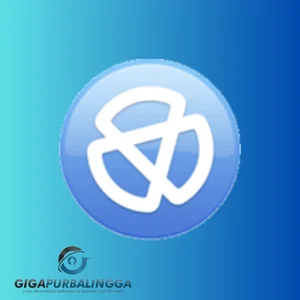 enigma virtual box download