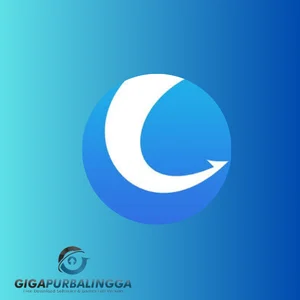 glary disk cleaner portable