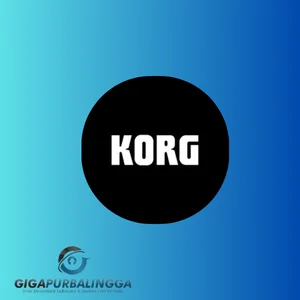 korg vox super continental