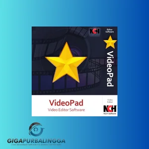 nch videopad pro