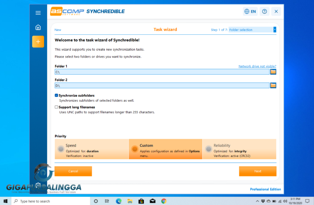synchredible professional