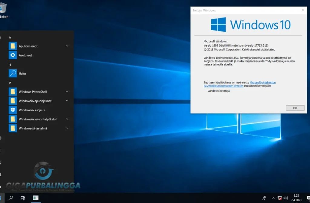 windows 10 enterprise ltsc rs5 full