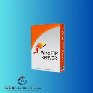 wing ftp server corporate