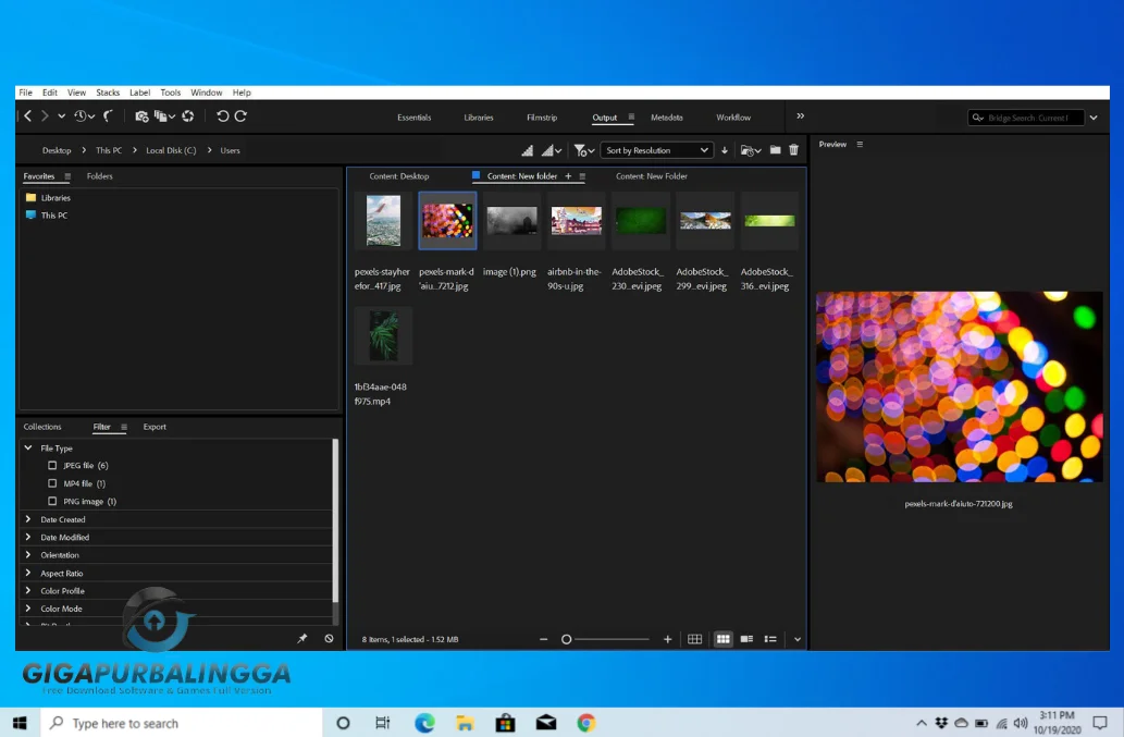 adobe bridge download